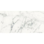 24x48 Genvora Blanc Matte Marble Look Porcelain Tile 24x48 Genvora Blanc Matte Marble Look Porcelain Tile - American Tile Depot