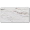 24x48 Calacatta Gold Matte