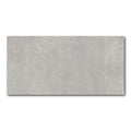 24x48 Concrete Gray Matte
