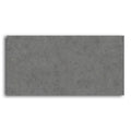 24x48 Anthracite Natural