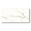 24x48 Calacatta White Polished