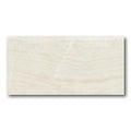 24x48 Onyx Light Matte 