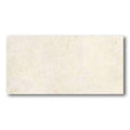 24x48 Avorio Matte