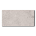 24x48 Port Land Greige Matte