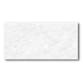 24x48 Vivid White Matte