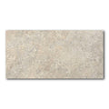 24x48 Almond Matte 