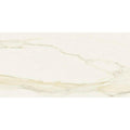 24x48 Glossy