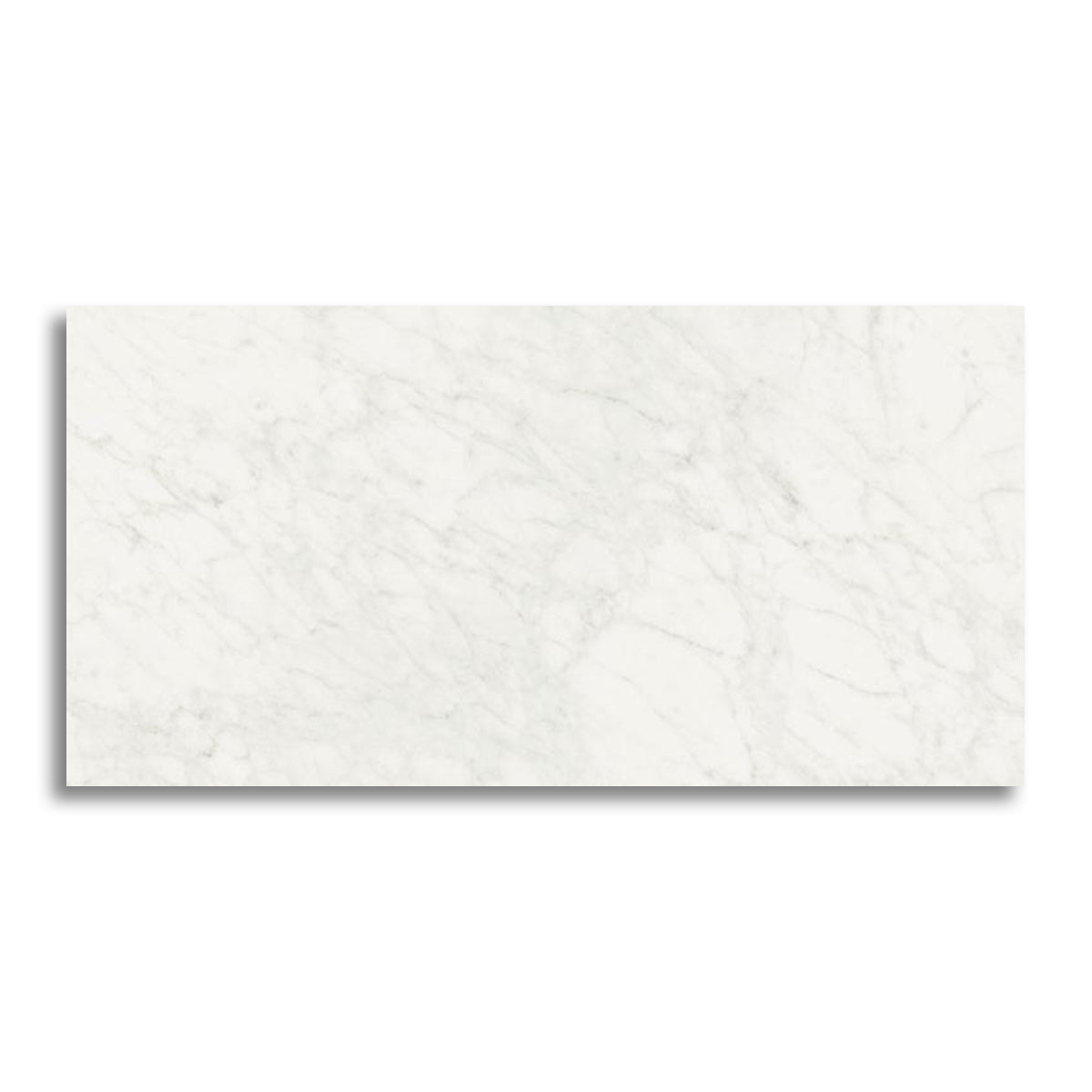 24x48 Tempesta White Glossy Polished Marble Look Porcelain Tile - American Tile Depot