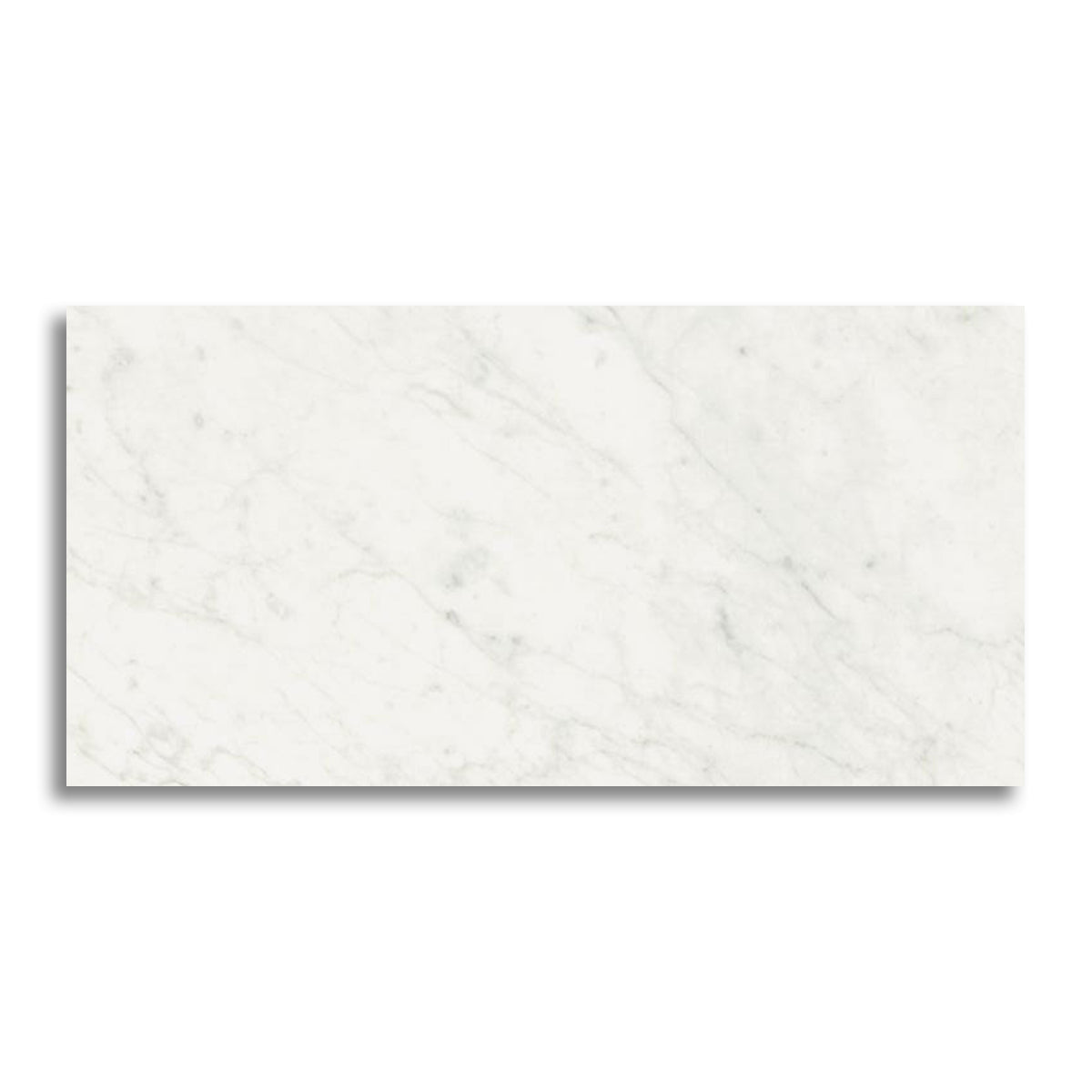 24x48 Tempesta White Glossy Polished Marble Look Porcelain Tile - American Tile Depot
