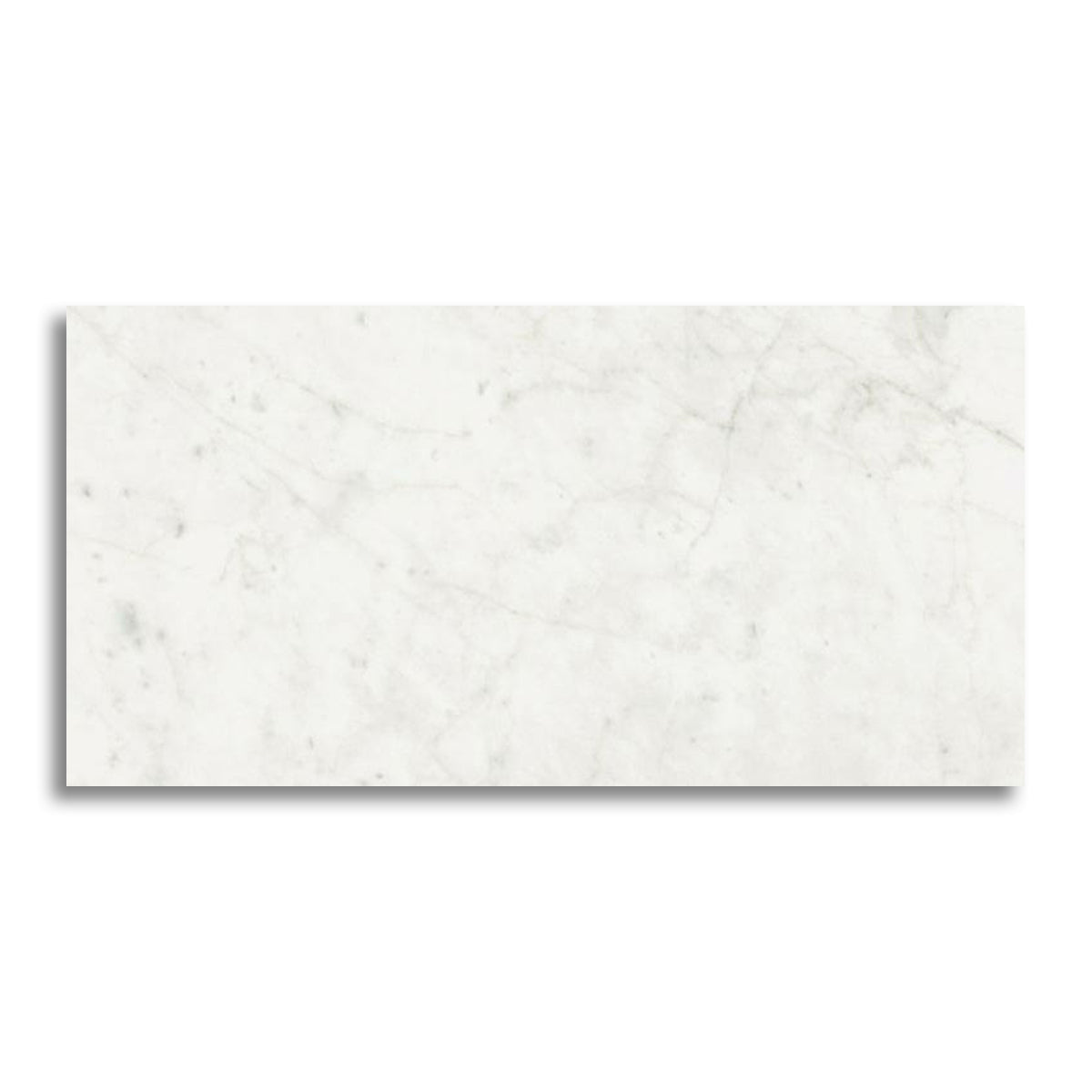 24x48 Tempesta White Glossy Polished Marble Look Porcelain Tile - American Tile Depot