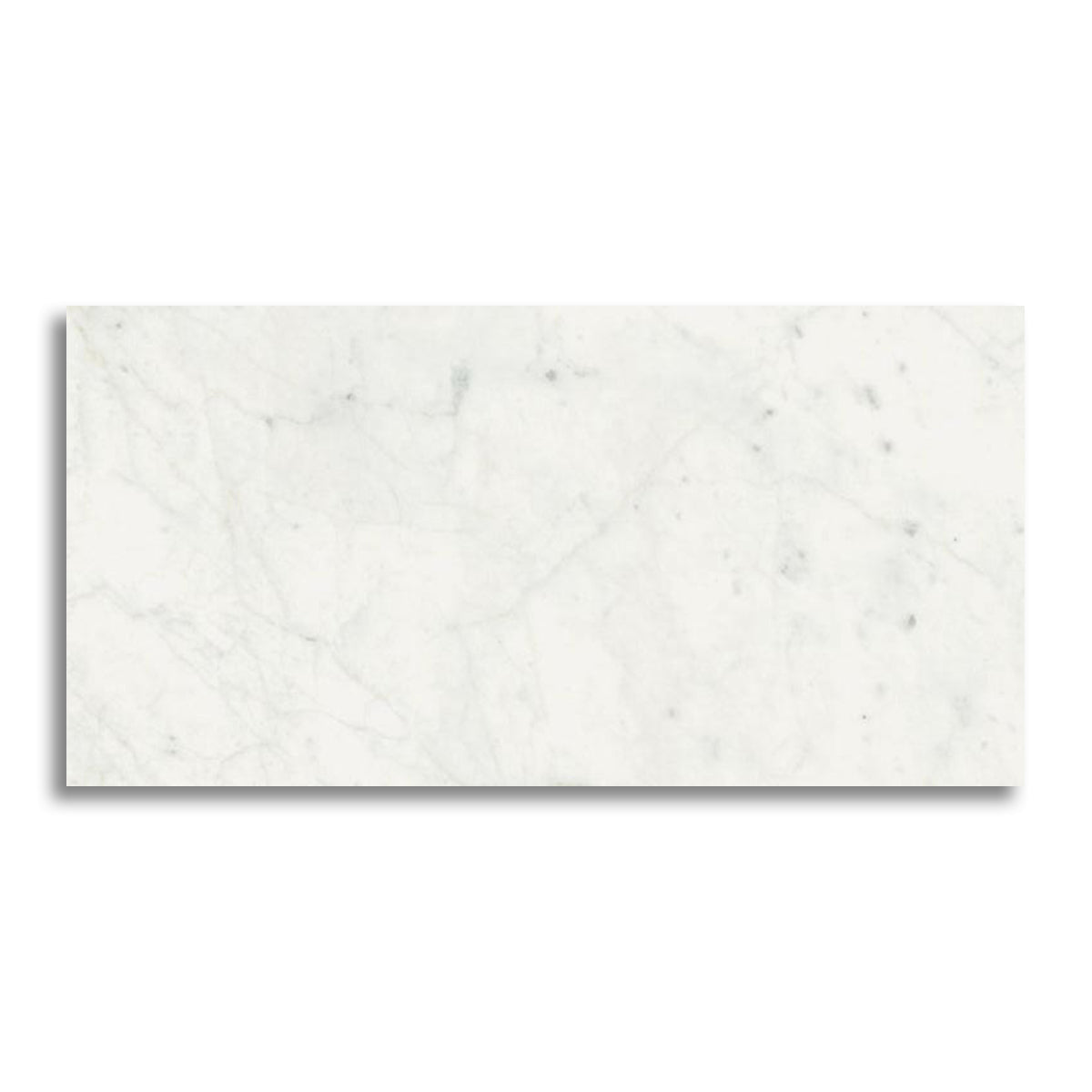 24x48 Tempesta White Glossy Polished Marble Look Porcelain Tile