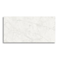 24x48 White Glossy