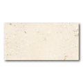 24x48 Cosmo Light Matte 