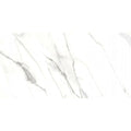 24x48 Matte 