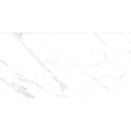 24x48 Polished 