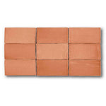 2.5x5 Azure Coast Coral Stone Look Glossy Ceramic Wall Tile 2.5x5 Azure Coast Coral Stone Look Glossy Ceramic Wall Tile - American Tile Depot
