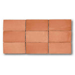 2.5x5 Azure Coast Coral Stone Look Glossy Ceramic Wall Tile 2.5x5 Azure Coast Coral Stone Look Glossy Ceramic Wall Tile - American Tile Depot