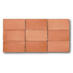 2.5x5 Azure Coast Coral Stone Look Glossy Ceramic Wall Tile 2.5x5 Azure Coast Coral Stone Look Glossy Ceramic Wall Tile - American Tile Depot
