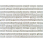 Special Cut | 2x6 Terrazzo Gold Marble Polished Tile - American Tile Depot