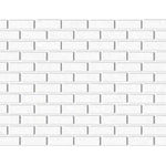 Special Cut | 2x6 Thassos White Marble Honed Tile - American Tile Depot
