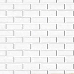 Special Cut | 2x6 Thassos White Marble Honed Tile - American Tile Depot