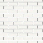 Special Cut | 2x6 Thassos White Marble Polished Tile Special Cut | 2x6 Thassos White Marble Polished Tile - American Tile Depot