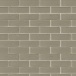 2x8 Taupe Glass Subway Tile - Rainbow Series - American Tile Depot
