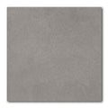 30x30 Gray Matte