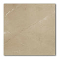 30x30 Arcadia Polished