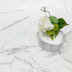 32x32 Bravira Carrara Marble Look Matte Porcelain Tile 32x32 Bravira Carrara Marble Look Matte Porcelain Tile - American Tile Depot