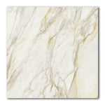 32x32 Brivelle Marble Look Glossy Porcelain Tile 32x32 Brivelle Marble Look Glossy Porcelain Tile - American Tile Depot