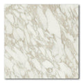 32x32 Calacatta Polished 