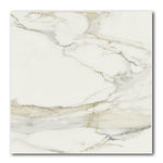 32x32 Solviera Calacatta Gold Glossy Marble Look Porcelain Tile 32x32 Solviera Calacatta Gold Glossy Marble Look Porcelain Tile - American Tile Depot