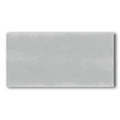 3x6 Tender Gray Glossy