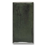 3x6 Loseto Forest Glossy Ceramic Wall Tile 3x6 Loseto Forest Glossy Ceramic Wall Tile - American Tile Depot