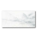 3x6 Glossy Ceramic Tile