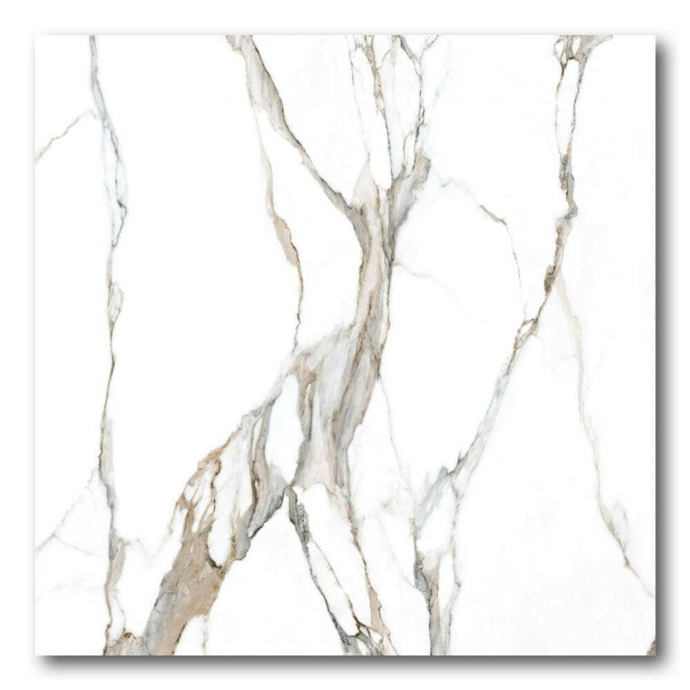 48x48 Zyrelle Topo Polished Marble Look Porcelain Tile