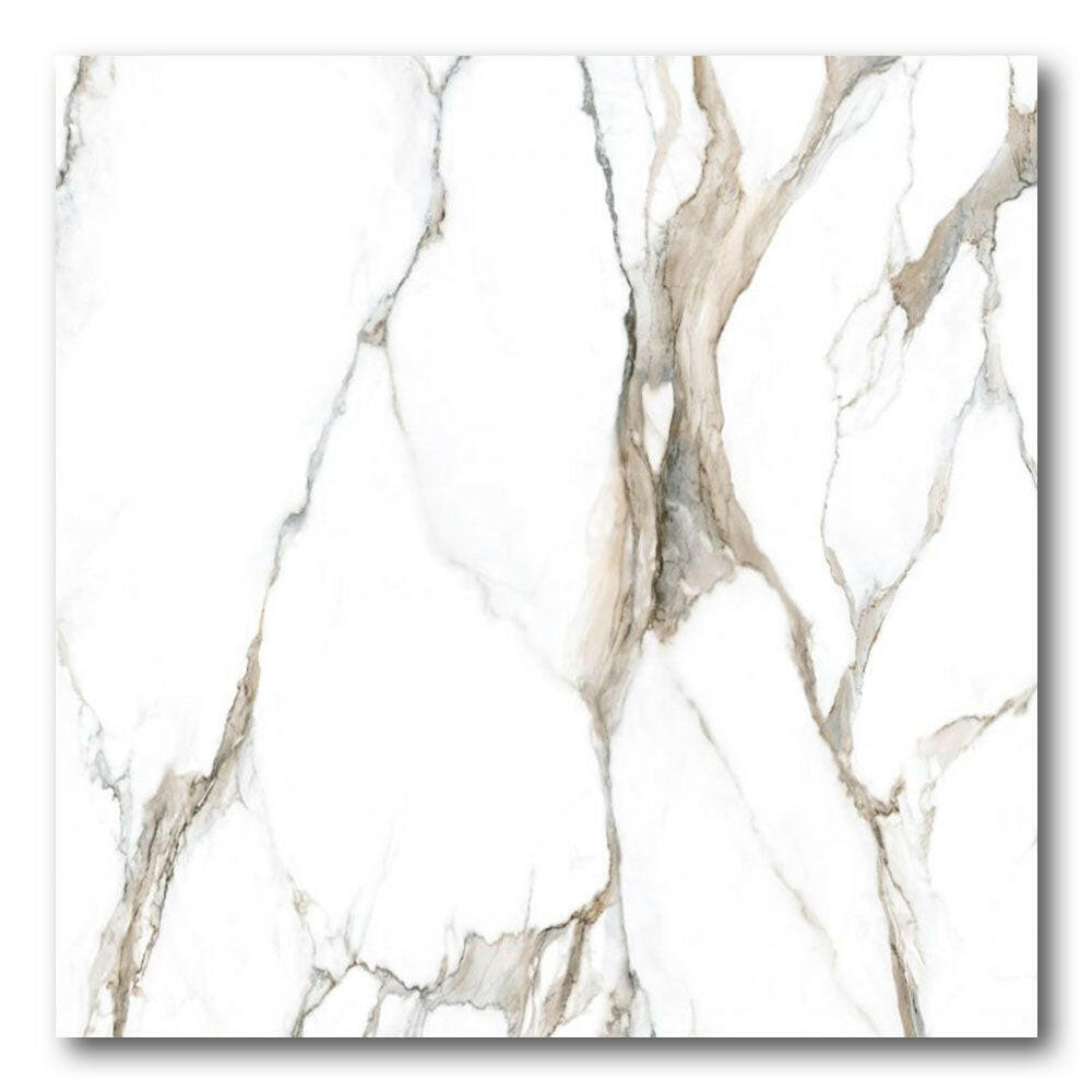 48x48 Zyrelle Topo Polished Marble Look Porcelain Tile