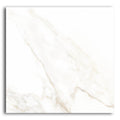 48x48 Calacatta Gold Polished