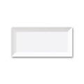 4x10 White Ice Beveled Glossy