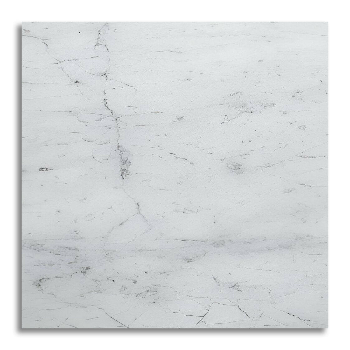 6x6 Carrara White Marble Polished Tile