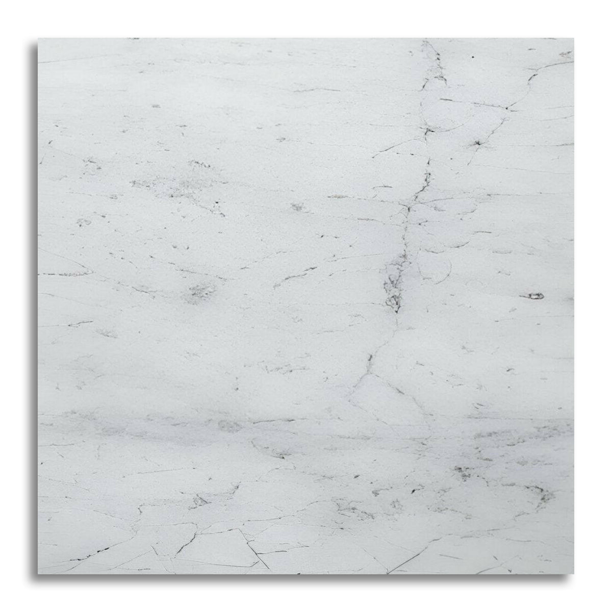 6x6 Carrara White Marble Honed Tile - American Tile Depot