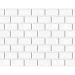 Special Cut | 4x8 Thassos White Marble Honed Tile - American Tile Depot