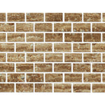 Special Cut | 6x12 Noce Exotic Travertine (Vein-Cut) Filled & Polished Tile Special Cut | 6x12 Noce Exotic Travertine (Vein-Cut) Filled & Polished Tile - American Tile Depot