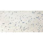 6x12 Terrazzo Blue Marble Polished Tile 6x12 Terrazzo Blue Marble Polished Tile - American Tile Depot