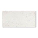 6x12 Terrazzo Silver Marble Polished Tile 6x12 Terrazzo Silver Marble Polished Tile - American Tile Depot