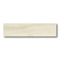 6x36 White Birch Matte