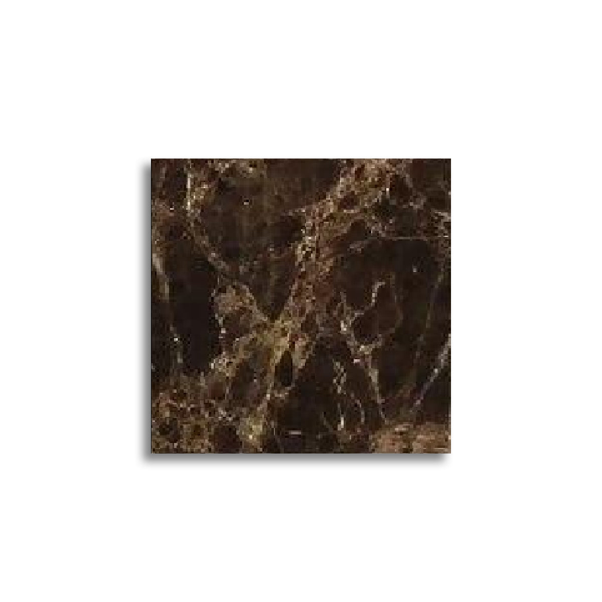 Special Cut | 6x6 Emperador Dark Marble Polished Tile