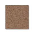 6x6 Sand Abrasive Tile