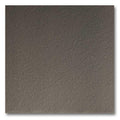 6x6 Grey Smooth Tile